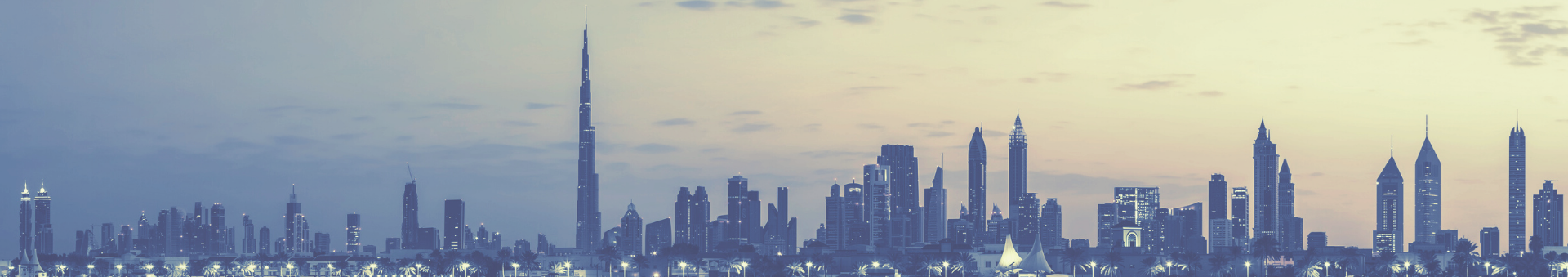 banner-img